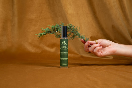 Juniper Leaf Aromatherapeutic Ritual Spray, 50ml